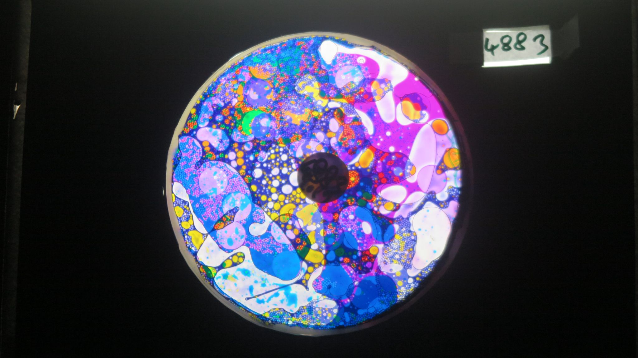 Bv4883 bubble vision oil wheel